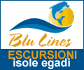 Blue Lines