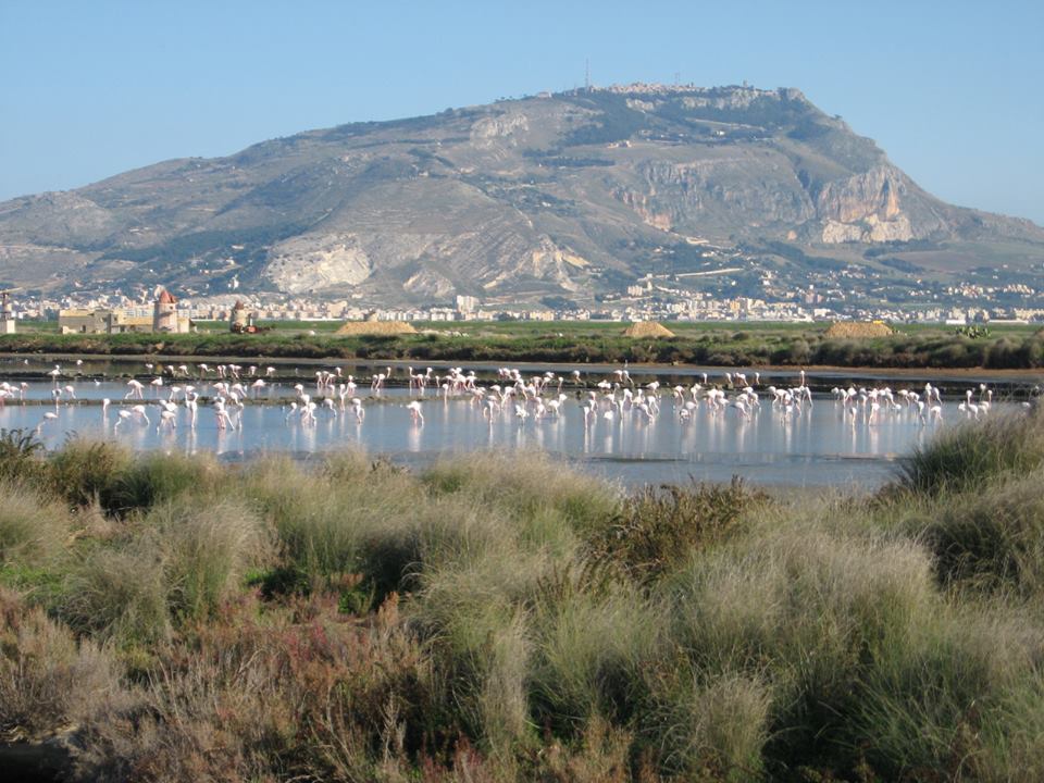 Trapani salt pans