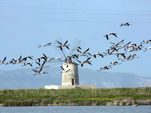 Itinerario Naturalistico Trapani