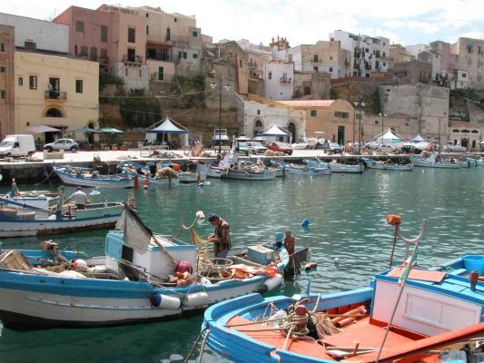 Around the world to export products made in Trapani