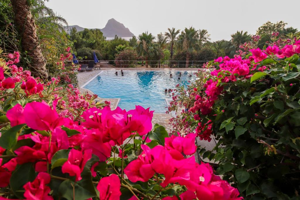 B&B&nbsp;Cala Dell�Arena&nbsp;san vito lo capo
