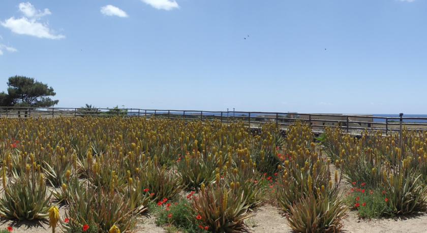 Case Vacanza Giardino delle Aloe favignana